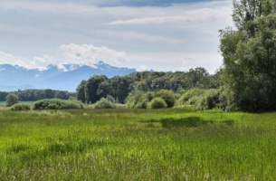 Le Marais du Sionnet, Campagne Geneve, Suisse - Wettach Jean-Marc@2020