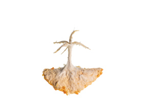 Mes-iles-clementines-02-Pierre-Olingue.jpg