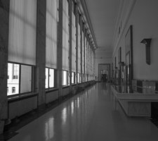  DSC3833